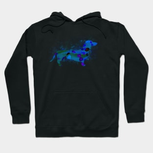 Dachshund Dog 160 blue watercolor splash Hoodie